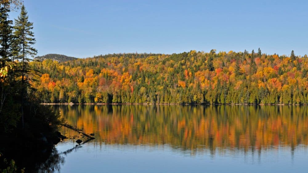 So Schön Ist Der Indian Summer In Kanada Reiseblog ☀