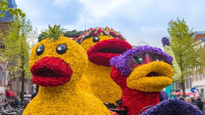 Farbenfrohe Blumenparade in Haarlem