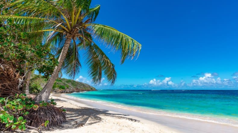 Blick auf den tropischen, mit Palmen besetzten Strand Flamenco Beach, Puerto Rico.