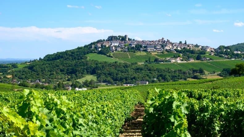 Blick auf grüne Weinberge, Hügel und ein Dorf im Loiretal, Frankreich