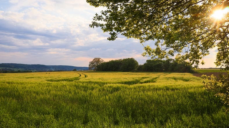 Biosphärenreservat Bliesgau im Saarland