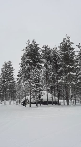 Husky-Farm in finnisch Lappland.