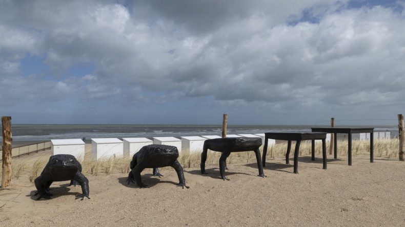 Strand Belgien Kunstwerk Metamorphosis