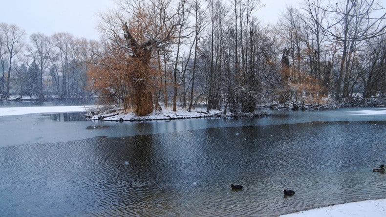 Eisbaden im Orankesee