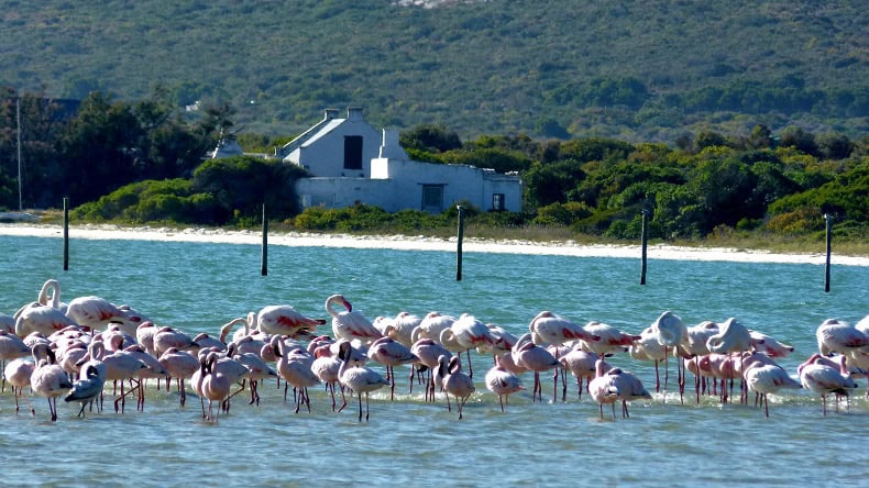 West Coast Nationalpark Südafrika