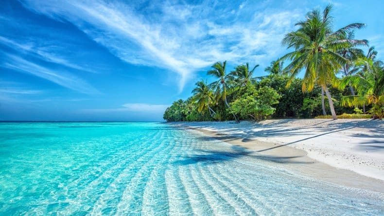 Blick auf einen weißen Sandstrand mit Kokospalmen und türkisfarbenes Meer, Mirihi Island Resort, Malediven, Indischer Ozean