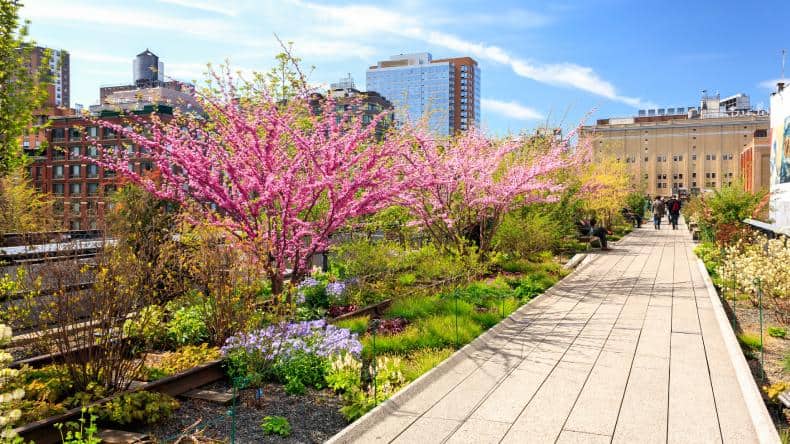 Die High Line in New York – ein faszinierender Park, der auf einer ehemaligen Hochbahntrasse thront.