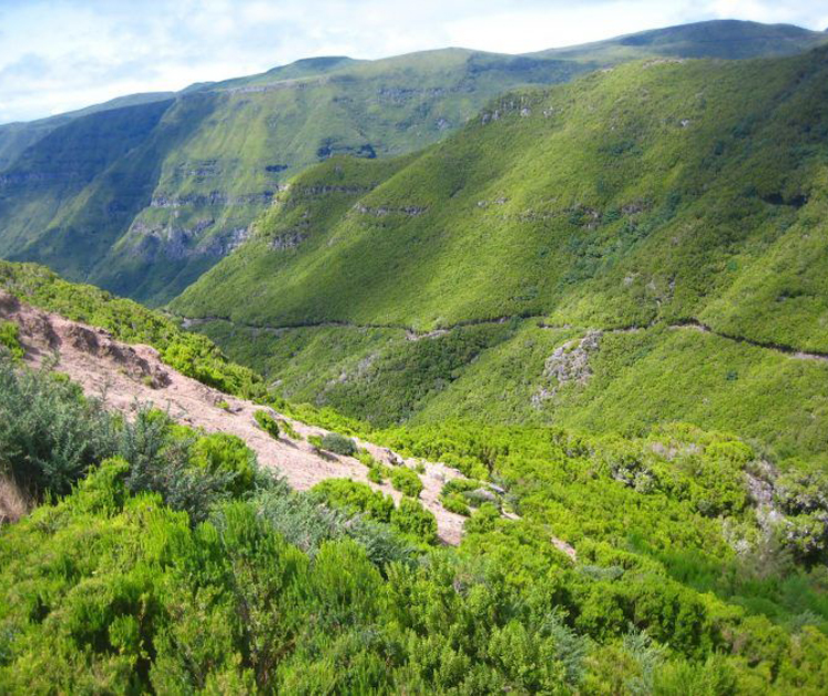 TOP Madeira Urlaub Angebote » mit TUI Urlaub buchen