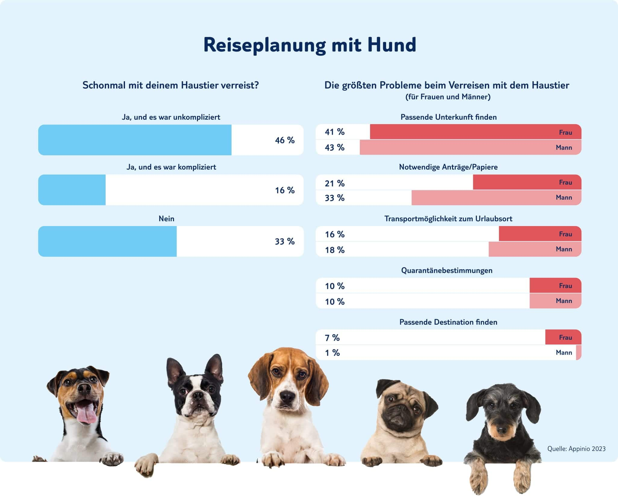 tui infografik reiseplanung mit hund