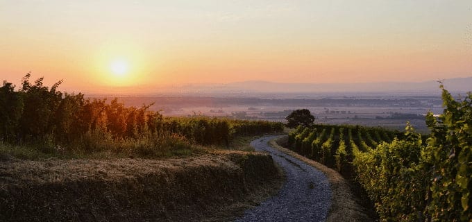 elsass-frankreich