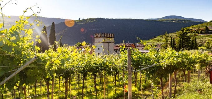 valpolicella italien