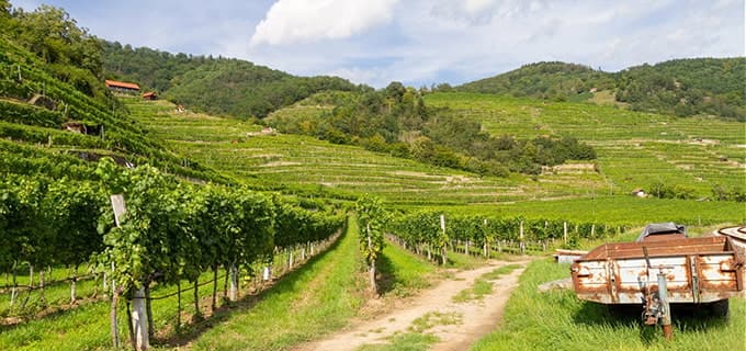 wachau oesterreich